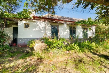 Santa Cruz, Madeira 9100-074, Portugal