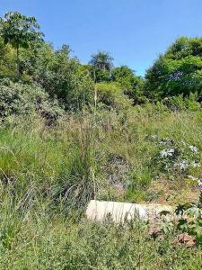 Mbói Sakuape,Fracción  El Puente,Manzana N°08,Lote N°21 , Encarnación, Itapúa 00001, Paraguay