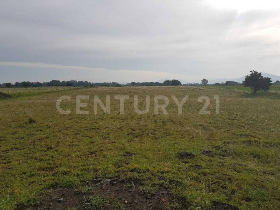 Terreno en venta en Atlixco, 10,000 m2, zona Tenextepec. Atlixco Pue. 1,, Atlixco, Puebla 74200, Mexique