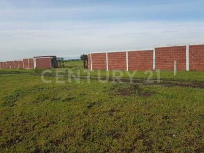 Terreno en venta en Atlixco, 10,000 m2, zona Tenextepec. Atlixco Pue. 1,, Atlixco, Puebla 74200, Mexique