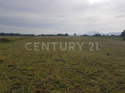 Terreno en venta en Atlixco, 10,000 m2, zona Tenextepec. Atlixco Pue. 1,, Atlixco, Puebla 74200, Mexique