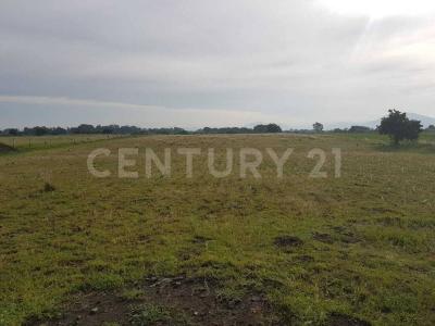 Terreno en venta en Atlixco, 10,000 m2, zona Tenextepec. Atlixco Pue. 1,, Atlixco, Puebla 74200, Mexique