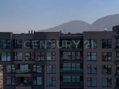 Paseo del Rio 7083,, Tijuana, Baja California 22226, Mexico