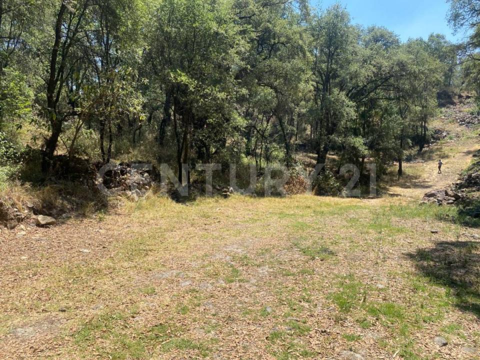 La Ratonera Sin número,, Ocoyoacac, Meksyk (stan) 52740, Meksyk
