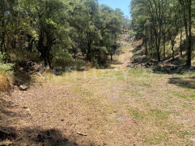 La Ratonera Sin número,, Ocoyoacac, Meksyk (stan) 52740, Meksyk