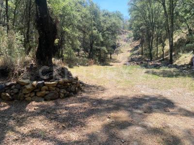 La Ratonera Sin número,, Ocoyoacac, Meksyk (stan) 52740, Meksyk