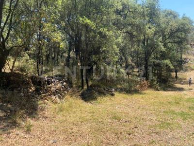 La Ratonera Sin número,, Ocoyoacac, Meksyk (stan) 52740, Meksyk