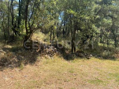 La Ratonera Sin número,, Ocoyoacac, Meksyk (stan) 52740, Meksyk