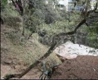 Cuajimalpa De Morelos, Ciudad De México 05410, Mexique