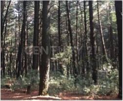 Cuajimalpa De Morelos, Ciudad De México 05410, Mexique