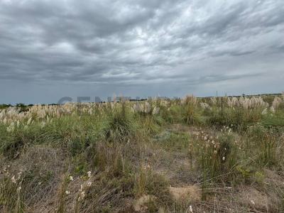 Km 427 Ruta Provincial 11 , Villa Gesell, Buenos Aires Costa Atlántica 7165, الأرجنتين