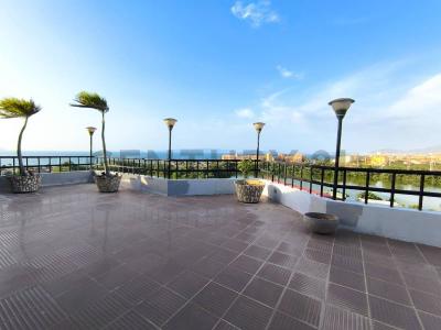 Calle Pobre Negro Residencias Porto Santo, Lechería, Anzoategui 6016, Venezuela