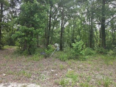 172 NE 746th Street, Old Town, Florida 32680