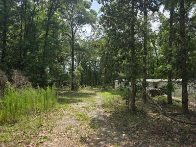 172 NE 746th Street, Old Town, Florida 32680