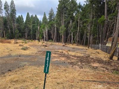 14171 Elmira Circle, Magalia, Kalifornia 95954, USA