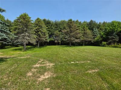 8448 Slagle Rd, Windham, Ohio 44288, USA