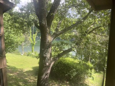 101-3 Woodson Bend Resort, Bronston, Kentucky 42518, États-Unis