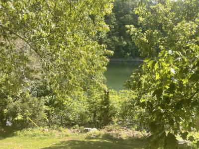 101-3 Woodson Bend Resort, Bronston, Kentucky 42518, USA