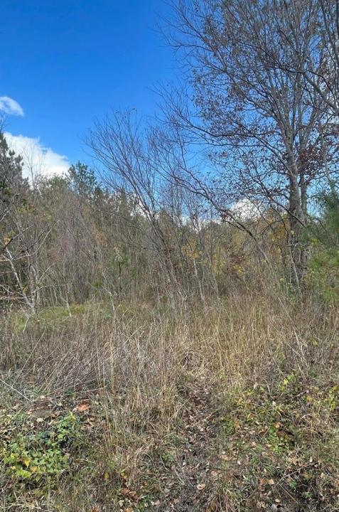 TBD Casey Rd, Lufkin, テキサス 75901, アメリカ合衆国