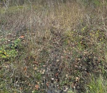 TBD Casey Rd, Lufkin, テキサス 75901, アメリカ合衆国