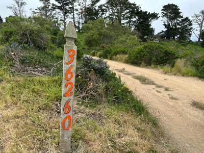 36260 Weston Ridge Road, Carmel, California 93923, USA