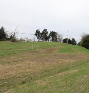 Lot 10 Rhea City Hwy, Dayton, Tennessee 37321-5802