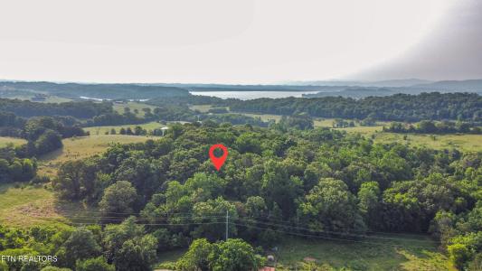 Brethren Church Rd, White Pine, Tennessee 37890, Stati Uniti