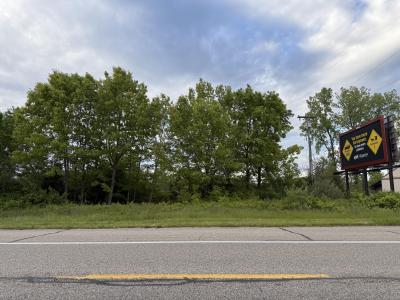 VL E Chicago Road, Cement City, מישיגן 49233, ארצות הברית של אמריקה 