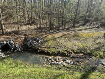 268 Sugar Maple Dr, Dover, Tennessee 37058