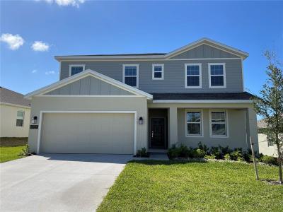 6805 Perch Hammock Loop, GROVELAND, Florida 34736