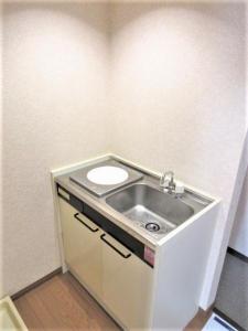 303, 雑司が谷２丁目22-15, ヴィラルネサンス, 豊島区, Tokyo 171-0032, Japan