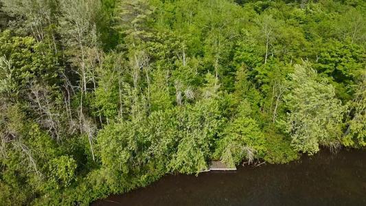 13  Ch. Tierney S., Gracefield, Квебек J0X 7W0, Канада