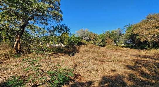 Komatipoort, Mpumalanga, Nam Mỹ