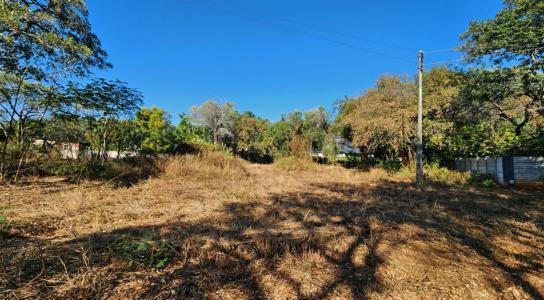 Komatipoort, Mpumalanga, Nam Mỹ