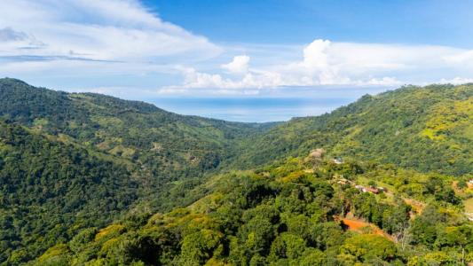 San Isidro Del General Pérez Zeledón, San José 00001, Costa Rica