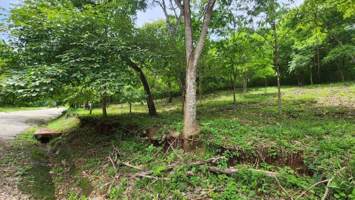 Tempate Santa Cruz, Guanacaste 50304, 哥斯達尼加