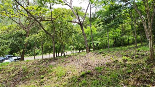 Tempate Santa Cruz, Guanacaste 50304, 哥斯達尼加