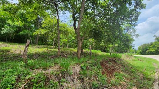 Tempate Santa Cruz, Guanacaste 50304, 哥斯達尼加