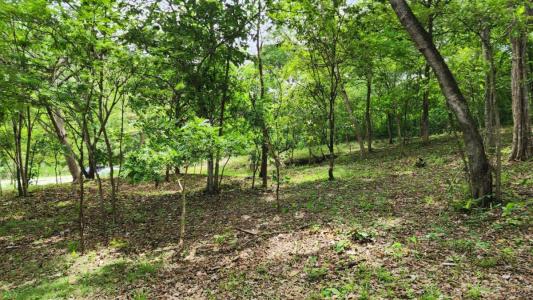 Tempate Santa Cruz, Guanacaste 50304, 哥斯達尼加