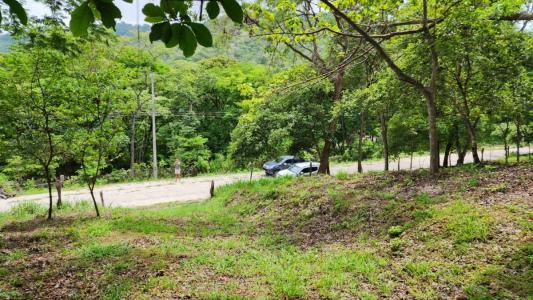 Tempate Santa Cruz, Guanacaste 50304, 哥斯達尼加