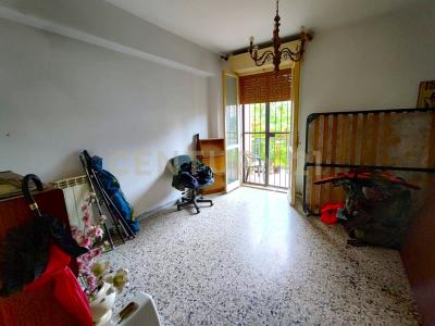 Viale Enrico de Nicola, Grosseto, Toscana 58100, Italia