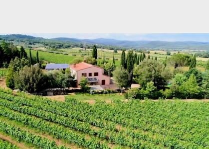 località poggetto dell'orso, Roccastrada, Toscana 58036, Italia