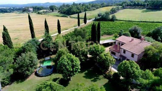 località poggetto dell'orso, Roccastrada, Toscana 58036, Italy