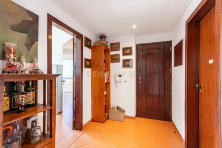 Mafra, Lisbon 2655-369, Portugal