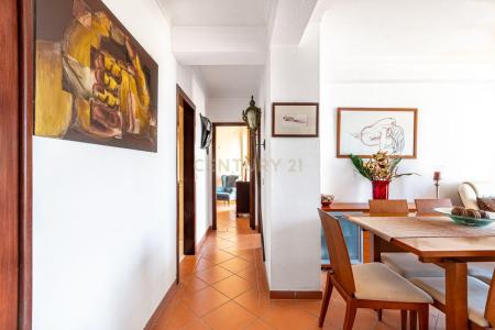 Mafra, Lisbon 2655-369, Portugal