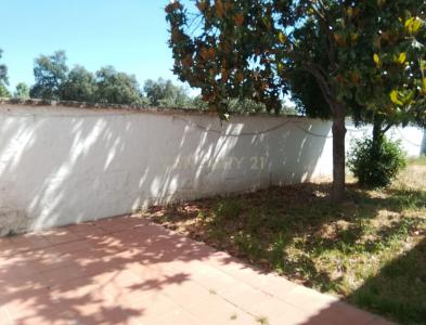 Cáceres, אקסטרמדורה 10690, ספרד