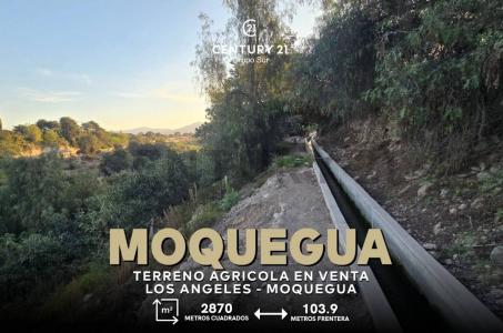 LOS ANGELES , Mariscal Nieto, Moquegua 00001, Peru