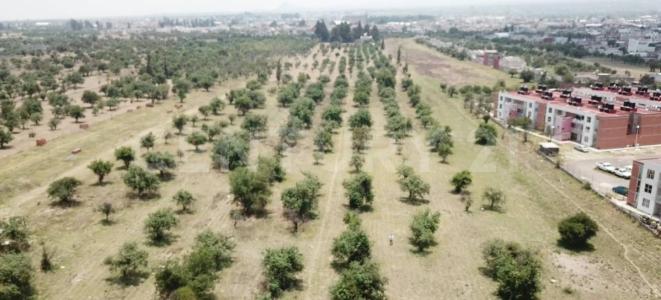 Terreno en Venta - 19,445.82 m2 - 1,, Huejotzingo, Puebla 74160, Mexico