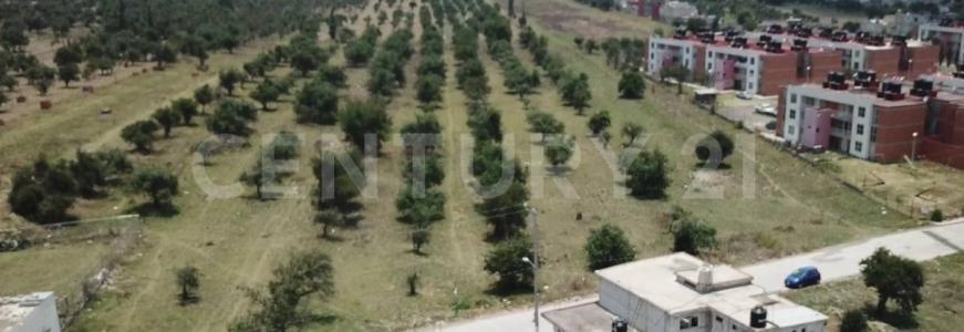 Terreno en Venta - 19,445.82 m2 - 1,, Huejotzingo, Пуэбла 74160, Мексика
