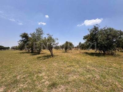 Terreno en Venta - 19,445.82 m2 - 1,, Huejotzingo, Пуэбла 74160, Мексика